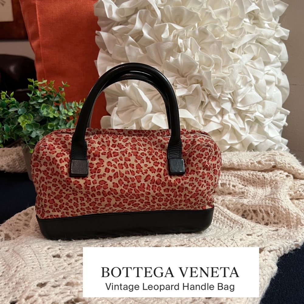 Bottega Veneta Bag / Mini leopard bag.